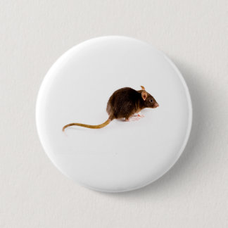 Macaron Rond 5 Cm Rat Brown