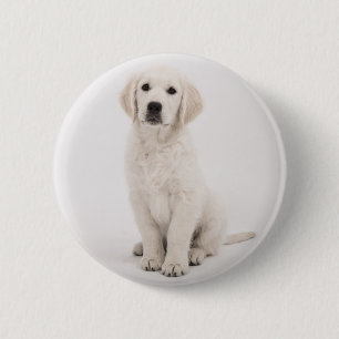 Macaron Rond 5 Cm récupérateur doré