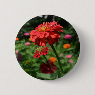 Macaron Rond 5 Cm red orange daisy floral, red flower garden