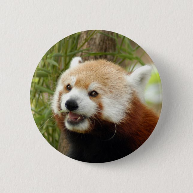 Macaron Rond 5 Cm red-panda-033 (Devant)
