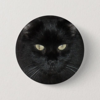 Macaron Rond 5 Cm Regard fixe de chat noir