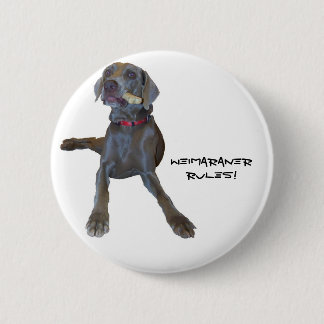 Macaron Rond 5 Cm Règle de Weimaraners !
