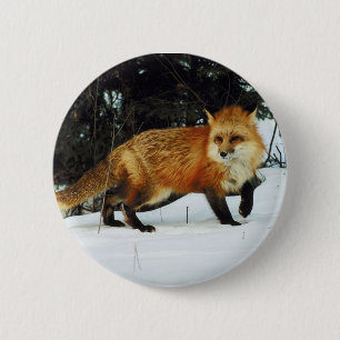 Macaron Rond 5 Cm Renard