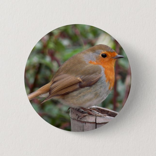 Macaron Rond 5 Cm Robin (Devant)