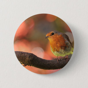 Macaron Rond 5 Cm Robin sur une branche
