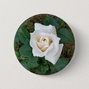 Macaron Rond 5 Cm rose blanche