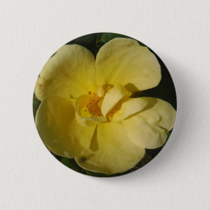 Macaron Rond 5 Cm Rose jaune sauvage