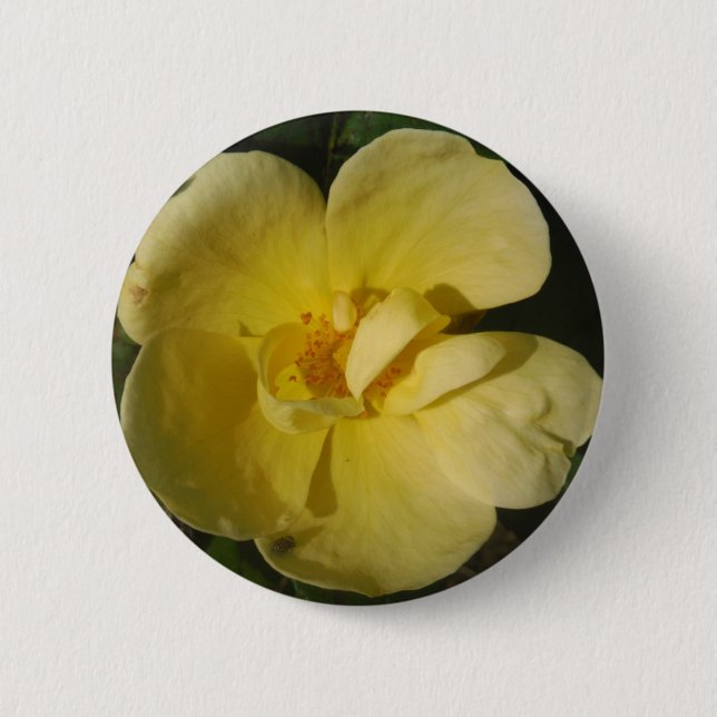 Macaron Rond 5 Cm Rose jaune sauvage (Devant)