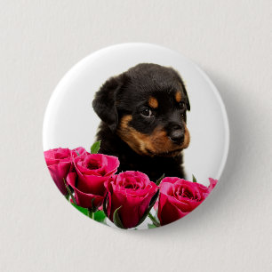 Macaron Rond 5 Cm Rose Valentin Rottweiler Puppy