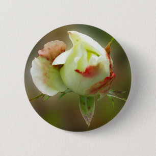 Macaron Rond 5 Cm rosebud brillant