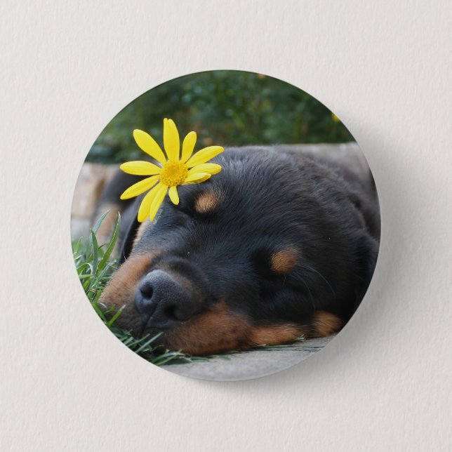 Macaron Rond 5 Cm Rottweiler (Devant)