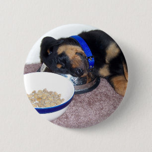 Macaron Rond 5 Cm rottweiler à tête blanche.
