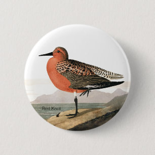 Macaron Rond 5 Cm Rouge Knot par Audubon, Sandpiper Birdwatcher, Bir