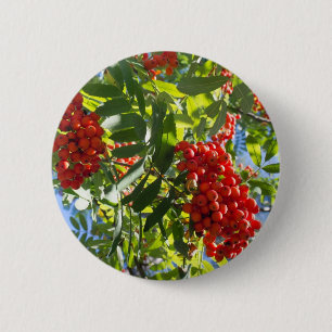 Macaron Rond 5 Cm Rowan