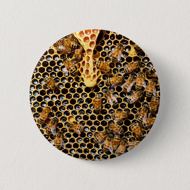 Macaron Rond 5 Cm Ruche d'abeilles avec peigne d'abeille (Devant)