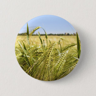 Macaron Rond 5 Cm Rye