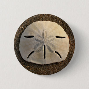 Macaron Rond 5 Cm Sable Dollar Coquille photo Custom Pin Button