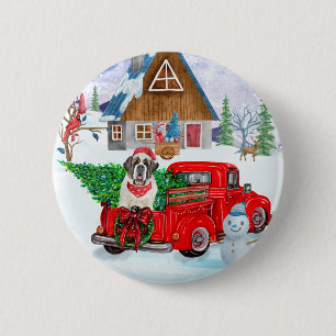 Macaron Rond 5 Cm Saint Bernard Chien dans la livraison de Noël Cami