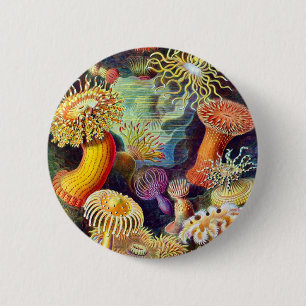 Macaron Rond 5 Cm Sea Anemones Ernst Haeckel Art