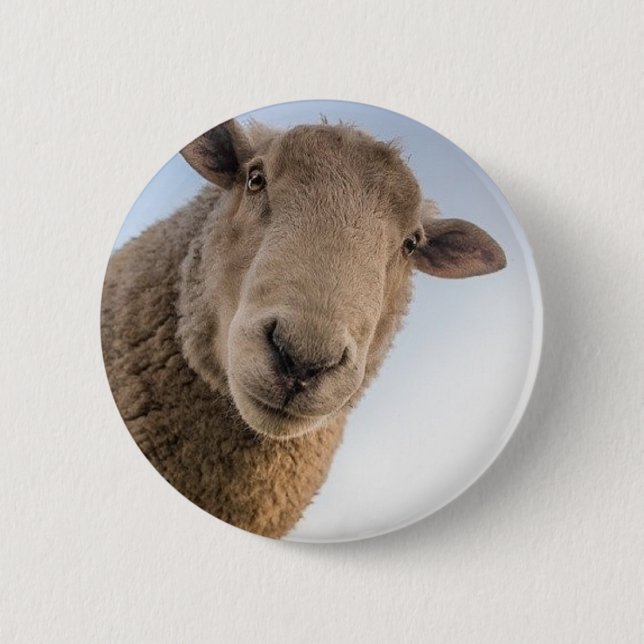 Macaron Rond 5 Cm Selfie de mouton amusant (Devant)
