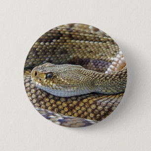 Macaron Rond 5 Cm Serpent de bétail venimeux près