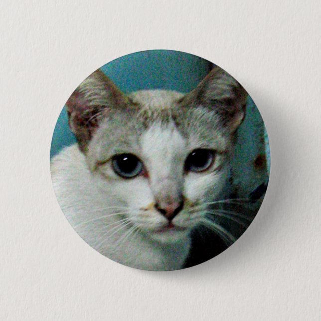 Macaron Rond 5 Cm Siamese Chat Friend (Devant)
