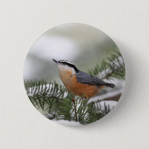 Macaron Rond 5 Cm Sittelle sur la branche de Milou en hiver