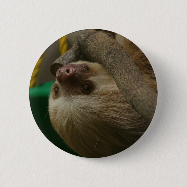 Macaron Rond 5 Cm Sloth (Devant)