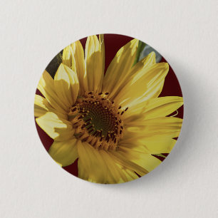 Macaron Rond 5 Cm Soleil vers le haut