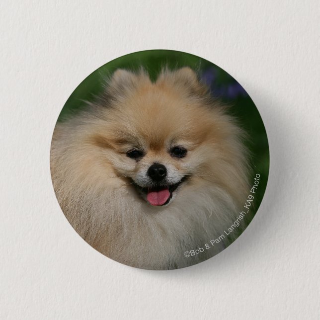 Macaron Rond 5 Cm Sourire de Pomeranian (Devant)