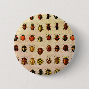 Macaron Rond 5 Cm Spécimen de coccinelle vintage Motif Insecte antiq