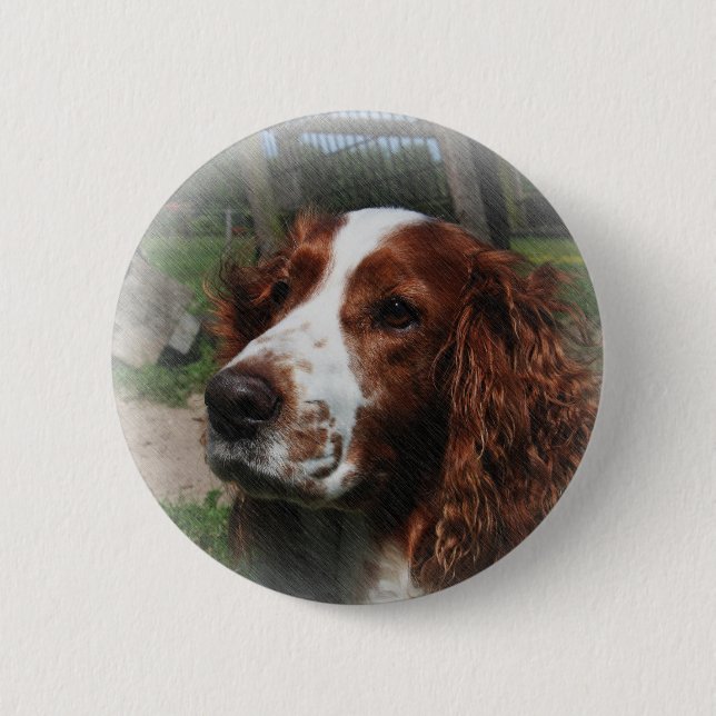 Macaron Rond 5 Cm Springer Spaniel Chien Art (Devant)
