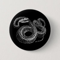 Squelette de serpent à sonnettes