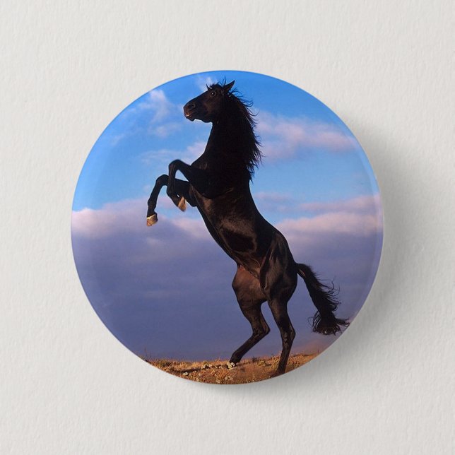 Macaron Rond 5 Cm Stallion noir (Devant)