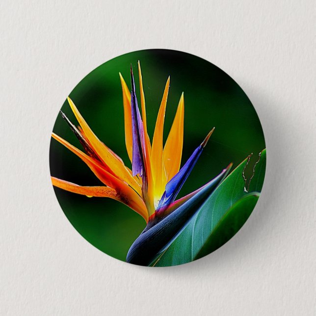 Macaron Rond 5 Cm Strelitzia. Oiseau de fleur de paradis (Devant)