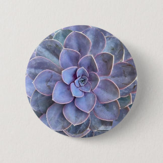 Macaron Rond 5 Cm Succulents d'Echeverie pourpre