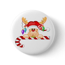 Sucre de canne de Rudy