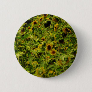 Macaron Rond 5 Cm Sunflower field
