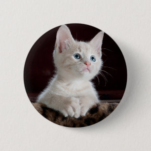 Macaron Rond 5 Cm Super mignon Kitten blanc