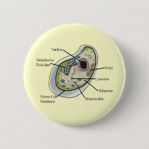 Macaron Rond 5 Cm T-shirts de biologie de cellule humaine