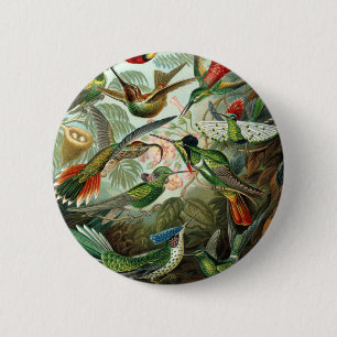 Macaron Rond 5 Cm tableau classique de la faune des oiseaux colibris