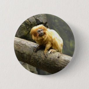 Macaron Rond 5 Cm Tamarin d'or de lion