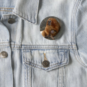 Macaron Rond 5 Cm Tamarin d'or de lion avec le bébé 2