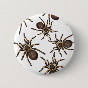 Macaron Rond 5 Cm Tarantula sur blanc