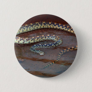Macaron Rond 5 Cm Taureau