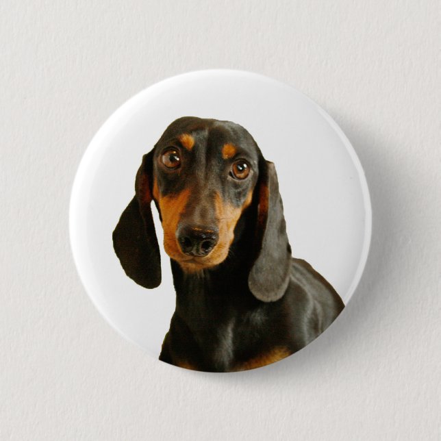 Macaron Rond 5 Cm Teckel mignon (aux cheveux courts Brown de (Devant)