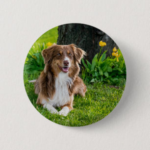 Macaron Rond 5 Cm Téléchargez votre photo préférée pour animal de co