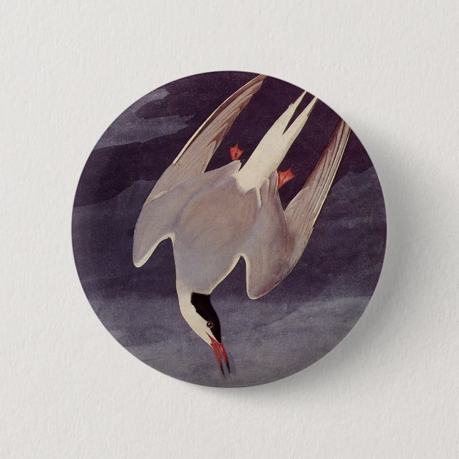 Macaron Rond 5 Cm Terne arctique par John James Audubon, Oiseaux Vin (Devant)