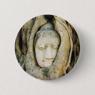 Macaron Rond 5 Cm Tête de Bouddha dans le Fig Tree .. Ayutthaya, Tha