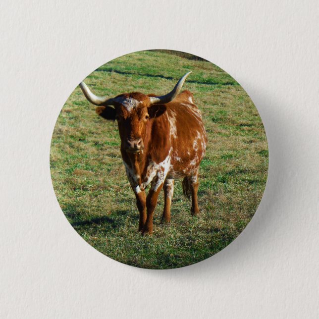 Macaron Rond 5 Cm Texas Longhorn Cattle Cow Photo Russe (Devant)